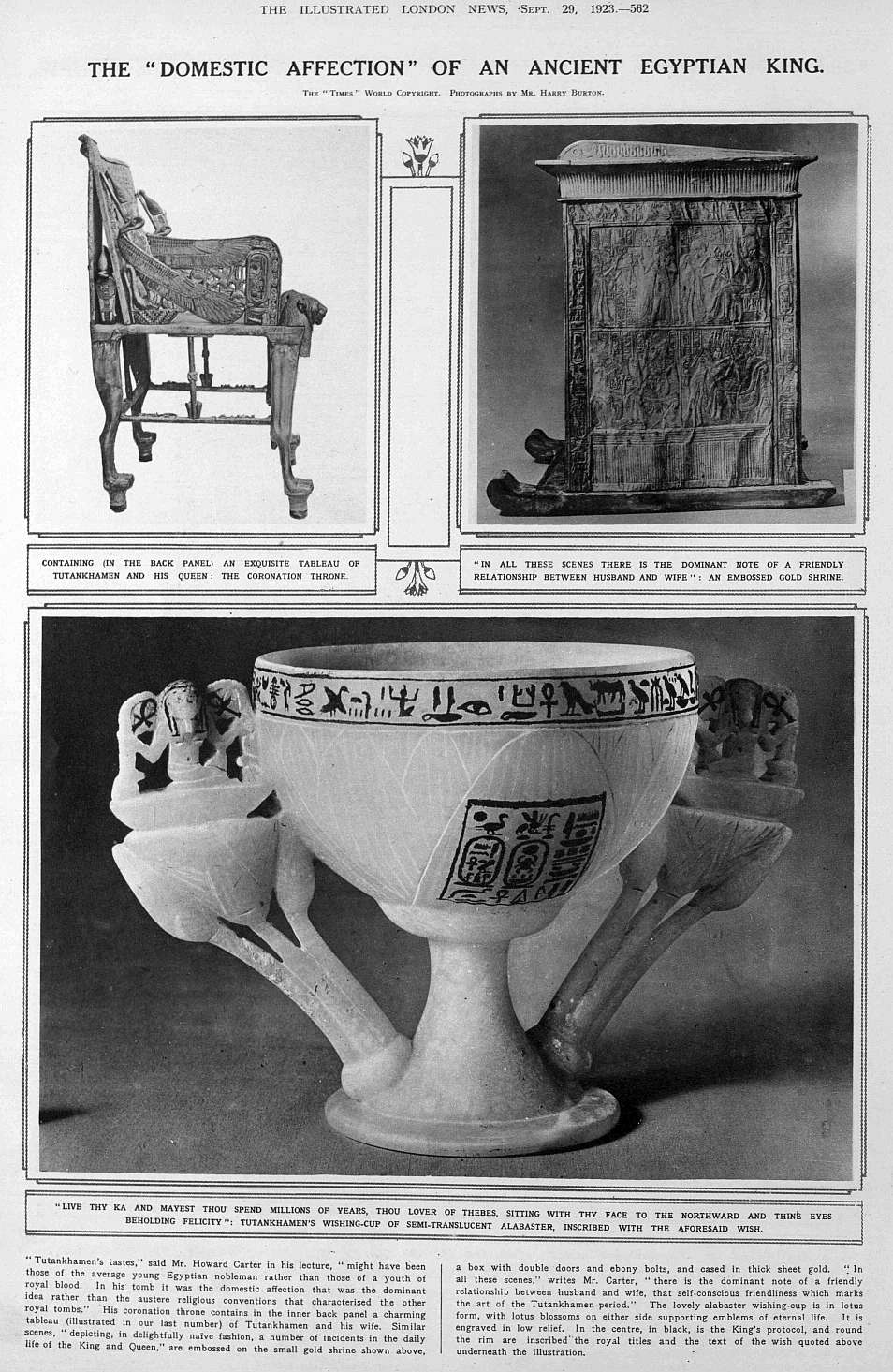 tut cup